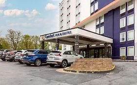 Comfort Inn And Suites Alexandria